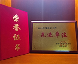 2020年度統(tǒng)計工作先進(jìn)單位